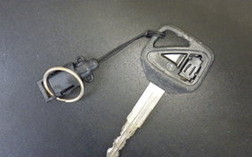 HONDA CBR1100XX 2000