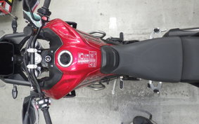TRIUMPH TIGER 900 GT PRO 2024