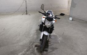 YAMAHA FZ1 FAZER 2010 RN21J