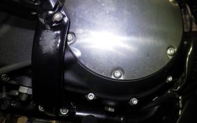 HARLEY XL883N 2021