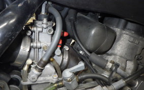 YAMAHA TDR250 1996 2YK