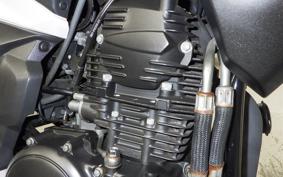 YAMAHA FZ25 2020