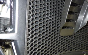 DUCATI デザートX RALLY 2025