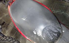 HONDA DIO Gen.6 AF62