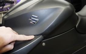 SUZUKI ｼﾞｸｻｰ250SF 2019