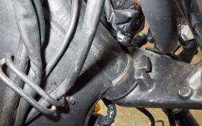 YAMAHA VIRAGO 250 3DM