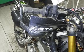 KAWASAKI KLX250 LX250E