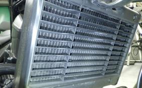 HONDA REBEL 1100 DCT 2021 SC83