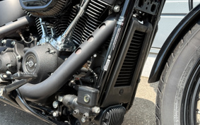 HARLEY FXBBS 2021 YYK