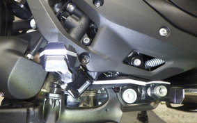 BMW R1300GS 2024