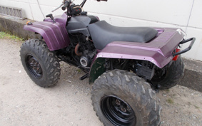YAMAHA BIGBEA-4X4 3HN