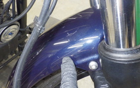 OTHER +ENFIELD ﾒﾃｵ350 2022