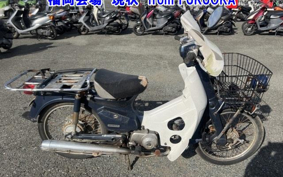OTHER C50-E FI