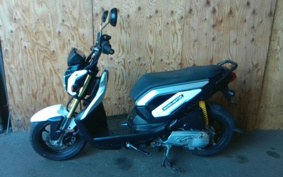 HONDA ZOOMER-X JF38