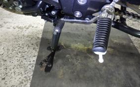 YAMAHA FZ1 FAZER 2013 RN21J