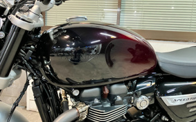 TRIUMPH SPEED TWIN 1200 2024 DAD85H