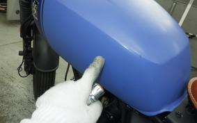 OTHER +UNREGISTERED MODEL by BDS125