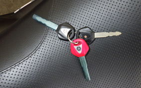 YAMAHA XJR1300 Gen.2 2007 RP17J