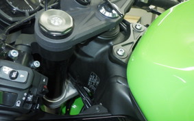 KAWASAKI NINJA ZX-6R A 2022 ZX636G