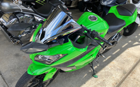 KAWASAKI NINJA 250 EX250L