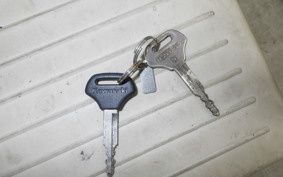 KAWASAKI BALIUS 250 Gen.2 2023 ZR250B