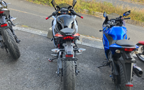 KAWASAKI NINJA ZX-25R ZX250E