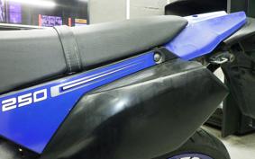 KAWASAKI KLX250D TRACKER X LX250V