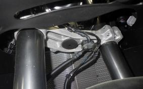 KAWASAKI NINJA 1000 SX 2024 ZXT02K