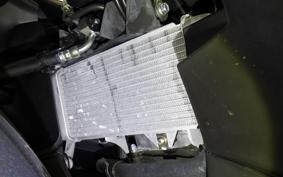 YAMAHA YZF-R15 RG86J