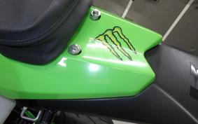 KAWASAKI KLX250D TRACKER X 2017 LX250V