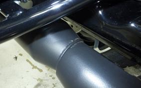 HARLEY FLTRX1920 2024