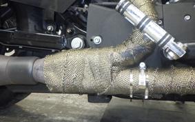 HARLEY XL883N 2010