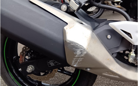 KAWASAKI NINJA 250 EX250Y