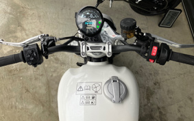 TRIUMPH SPEED TWIN 2025 DD0H22