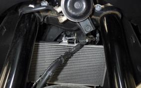 YAMAHA YZF R-3 2024 RH21J