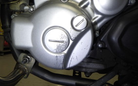 YAMAHA WR250X DG15J