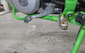 KAWASAKI KLX250 Gen.2 2023 LX250S
