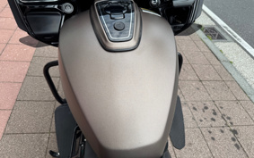 INDIAN CHALLENGER DARK HOSE 2022 L