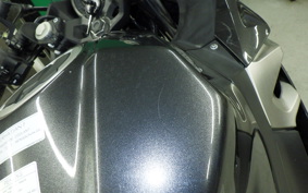 KAWASAKI NINJA 250 2010