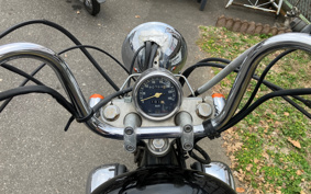 YAMAHA VIRAGO 250 3DM