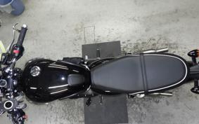 TRIUMPH BONNEVILLE T100 2024