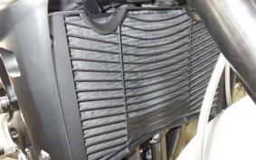 YAMAHA FZ1 FAZER 2010 RN21J