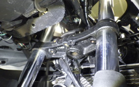 SUZUKI GSX250RA 2019