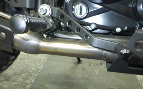 OTHER +ﾏｯﾄﾓｰﾀｰｻｲｸﾙ250