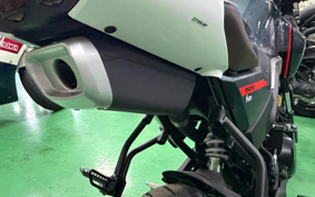 OTHER CFMOTO XO-1 PAPIO