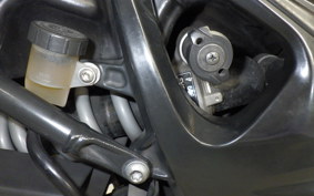 BMW F800S 2009