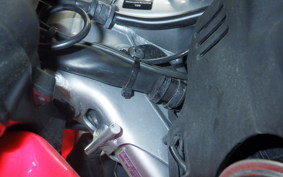 HONDA CRF250L 2025 MD47