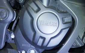 YAMAHA YZF-R25 2022 RG43J