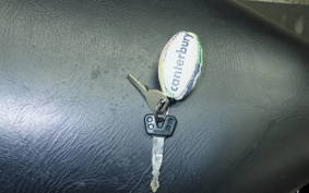 YAMAHA DRAGSTAR 250 2015 VG02J