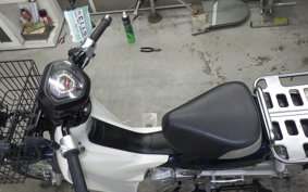 HONDA C110 SUPER CUB 2006 JA10